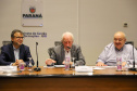 VICE GOVERNADOR