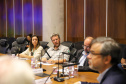 VICE GOVERNADOR