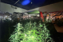 PMPR MACONHA