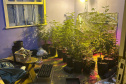 PMPR MACONHA