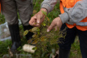 SANEPAR RESGATA ANIMAIS REPLANTIO VEGETAÇÃO