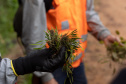 SANEPAR RESGATA ANIMAIS REPLANTIO VEGETAÇÃO