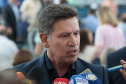 GOVERNADOR - LINHA VERDE