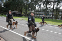DIA DO EXÉRCITO