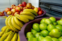 1 em cada 4 alimentos da agricultura familiar destinados à alimentação escolar da rede estadual de ensino são orgânicos