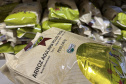 1 em cada 4 alimentos da agricultura familiar destinados à alimentação escolar da rede estadual de ensino são orgânicos
