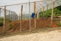 SEGURANÇA ALIMENTAR