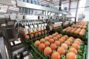 Produção de ovos cresce no Paraná em 2024 e tendência é de alta