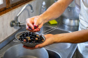 Portos do Paraná realiza oficina de coleta e despolpa do açaí juçara em comunidade no Litoral