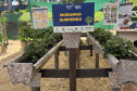 EXPOLONDRINA