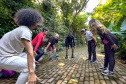 SETU - Astroturismo, natureza e aventura: Paraná tem seis experiências no Feel Brasil, da Embratur