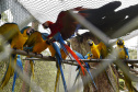 Rede de apoio à fauna silvestre coordenada pelo Instituto Água e Terra realizou 1.483 atendimentos entre janeiro e abril deste ano.