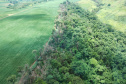  IAT identificou 478 hectares de área de vegetação danificada por fogo em quatro fazendas de Ribeirão Claro, no Norte Pioneiro
