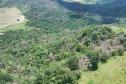  IAT identificou 478 hectares de área de vegetação danificada por fogo em quatro fazendas de Ribeirão Claro, no Norte Pioneiro