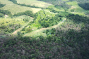  IAT identificou 478 hectares de área de vegetação danificada por fogo em quatro fazendas de Ribeirão Claro, no Norte Pioneiro