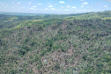  IAT identificou 478 hectares de área de vegetação danificada por fogo em quatro fazendas de Ribeirão Claro, no Norte Pioneiro