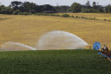 FOMENTO PARANÁ BANCO AGRICULTOR PARANAENSE