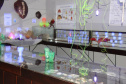 Museu de Ciências Naturais da Unicentro promove “Noite Luminescente” com oficinas
