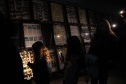 Museu de Ciências Naturais da Unicentro promove “Noite Luminescente” com oficinas
