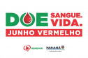 SESA JUNHO VERMELHO