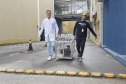Operação coordenada pelo Instituto Água e Terra resgatou e encaminhou para o Zoológico Municipal de Curitiba 20 macacos-prego que viviam em cativeiros clandestinos