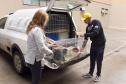 Operação coordenada pelo Instituto Água e Terra resgatou e encaminhou para o Zoológico Municipal de Curitiba 20 macacos-prego que viviam em cativeiros clandestinos