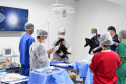 Operação coordenada pelo Instituto Água e Terra resgatou e encaminhou para o Zoológico Municipal de Curitiba 20 macacos-prego que viviam em cativeiros clandestinos