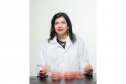 A engenheira agrônoma e pesquisadora do Novo Arranjo de Pesquisa e Inovação (NAPI) Taxonline, da Fundação Araucária, Mariangela Hungria, foi agraciada nesta terça-feira (12) com o Prêmio Mundial da Alimentação de 2025, o World Food Prize