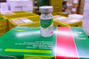 SESA - Com vacina da gripe liberada para toda a população; Paraná realiza o Dia D de Multivacinação neste sábado