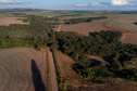 GOVERNADOR - PR-239 entre Mato Rico e Roncador