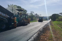 Copel alerta para riscos de acidentes com a rede elétrica na colheita do pinhão