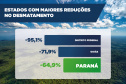 Com queda de 64,9%, Paraná teve a 3ª maior redução de desmatamento do Brasil em 2024