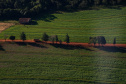 FOMENTO PARANÁ BANCO AGRICULTOR PARANAENSE