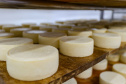 QUEIJO
