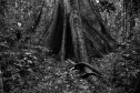 BRDE - mergulho caleidoscópico entre dragas e dragões, da fotógrafa Vilma Slomp nova exposição no Espaço Cultural BRDE