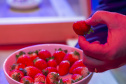 TECPAR - pesquisa propõe soluções sustentáveis para a agricultura e conservação de alimentos