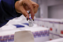 SESA -  Vacina da dengue é ampliada para mais 102 municípios do Paraná e recebe novas doses para distribuição 