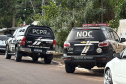 PCPR cumpre 14 ordens judiciais em operação de repressão qualificada ao tráfico de drogas em Cascavel