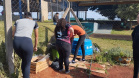 Educação ambiental: estudantes de colégio estadual em Arapoti transformam lixo orgânico em adubo para horta