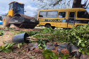 operação contra o greening  em Cornélio Procópio e Londrina.
