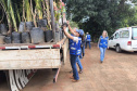 operação contra o greening  em Cornélio Procópio e Londrina.
