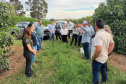 Fiscais catarinenses e gaúchos conhecem experiência do Paraná no combate ao greening