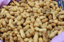 AMENDOIM
