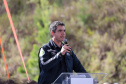 GOVERNADOR