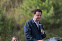 GOVERNADOR