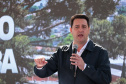 GOVERNADOR