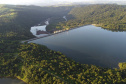 COPEL - Florestas protegidas pela Copel abrigam espécies vulneráveis da flora nativa