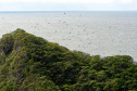 Recuperação de áreas verdes, combate ao desmatamento, cuidados com a água e a fauna e destinação correta dos resíduos sólidos: os indicadores que transformaram o Paraná em referência na proteção ao meio ambiente.