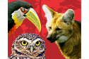 IAT LIVRO FAUNA