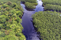 Recuperação de áreas verdes, combate ao desmatamento, cuidados com a água e a fauna e destinação correta dos resíduos sólidos: os indicadores que transformaram o Paraná em referência na proteção ao meio ambiente.